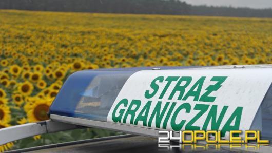 Straż Graniczna: 49 cudzoziemców wykonywało pracę nielegalnie