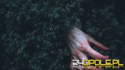 "Znaki" - thriller, który rozbudził emocje w całej Polsce