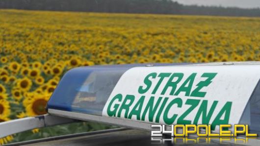 Legalność zatrudnienia cudzoziemców na Opolszczyźnie. 218 przypadków poza radarem 