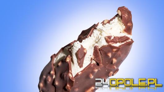 Lody pod lupą IJHARS. Prawie połowa skontrolowanych punktów z uchybieniami