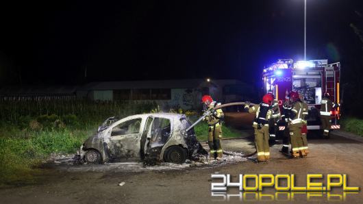 Dwa pożary jednej nocy przy ul. Niemodlińskiej w Opolu. Policja bada sprawę