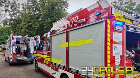 Wypadek podczas prac ziemnych w Lewinie Brzeskim. Strażacy ewakuowali poszkodowanego z wykopu