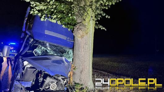 Bus uderzył w drzewo w Lasowicach Małych