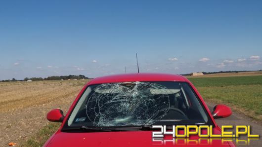 Rowerzysta wjechał pod nadjeżdzające auto, bo patrzył w telefon