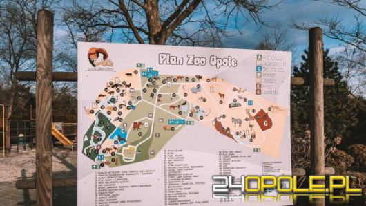Nocne zwiedzanie w Zoo Opole - ogród w zupełnie nowym świetle