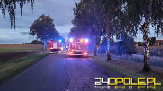 Tragiczny wypadek na trasie Byczyna - Roszkowice. Nie żyje 65-letni rowerzysta