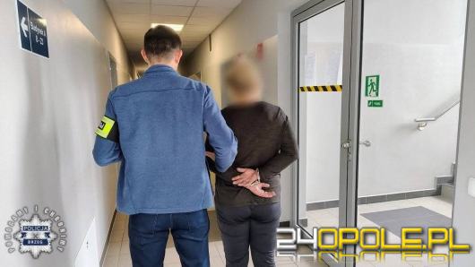 Zatrzymani za włamania i kradzież miodu oraz paliwa