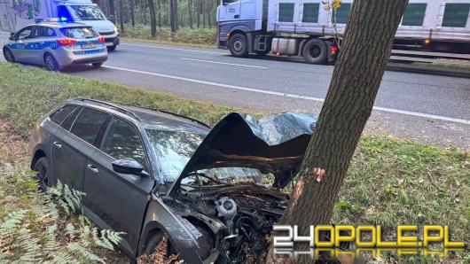 Zasnął za kółkiem i rozbił się na drzewie. Wypadek w miejscowości Dąbrowa