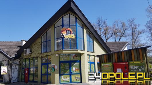 Zoo Opole wydało oświadczenie po ujawnieniu sprawy martwych zwierząt przechowywanych w chłodni