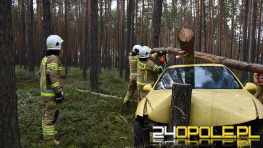 Pożar i akcja ratunkowa w Pludrach. Setki strażaków w akcji podczas manewrów "Las Pludry 2025"