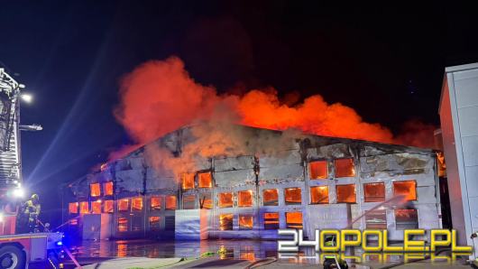Pożar w Falkowicach. Na miejscu 26 zastępów straży pożarnej