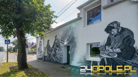 Sztuka na murach wsi Opolszczyzny. Zobacz nowe murale