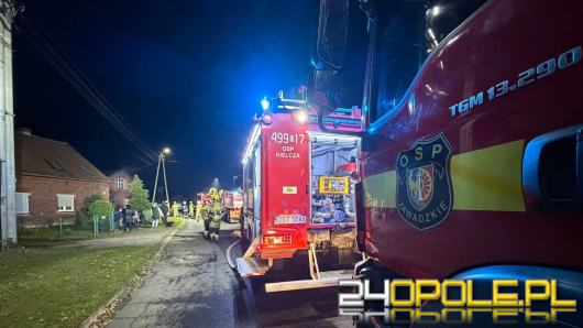 Pożar domu jednorodzinnego w Żędowicach. Straż apeluje o montaż czujek