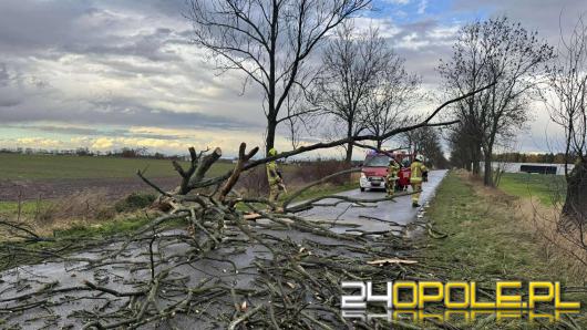 Silny wiatr nad Opolszczyzną. Strażacy interweniowali blisko 60 razy