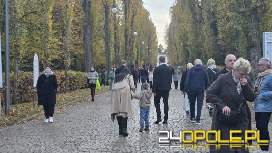 Dzień Zaduszny. Historia, tradycje i współczesne obchody
