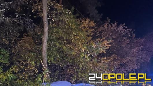Samochód uderzył w drzewo na obwodnicy Kędzierzyna-Koźla. 17-latka trafiła do szpitala