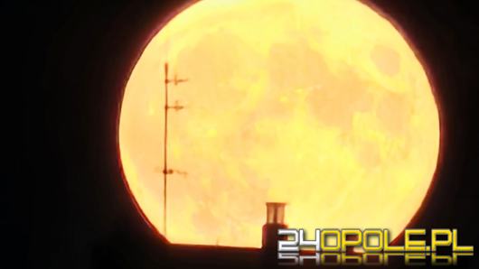 Bobrzy Księżyc. Zbliża się listopadowa superpełnia