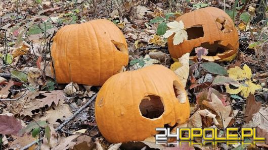 Nie wyrzucaj dyni do lasu - to nie naturalna dekoracja, lecz problem dla przyrody