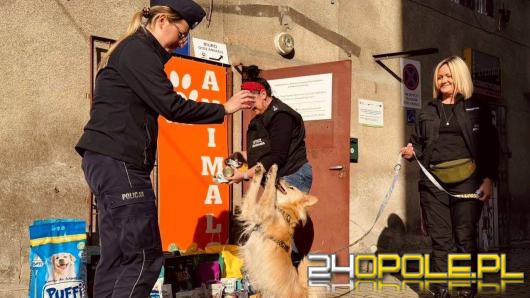 Wsparli bezdomne psiaki. Piękna akcja policjantów z Kędzierzyna-Koźle