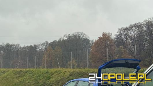 Niecodzienny widok na krajowej "czterdziestce". Policjanci zatrzymali radiowóz i...