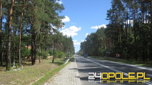 Nowa ścieżka pieszo-rowerowa połączy Ozimek z Grodźcem - 12 firm złożyło oferty