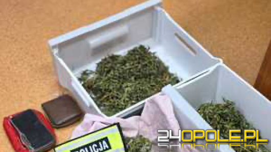 Jeden uciekł z ośrodka, drugi uprawiał konopie w mieszkaniu. Obaj już są w rękach policji