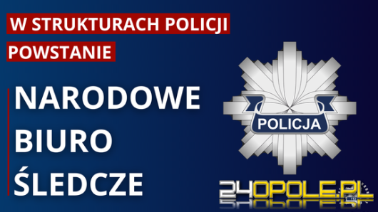 Narodowe Biuro Śledcze - nowy etap Polskiej Policji