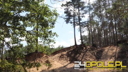 Opolszczyzna zyska nowe rezerwaty przyrody. Trwa proces ich ustanawiania