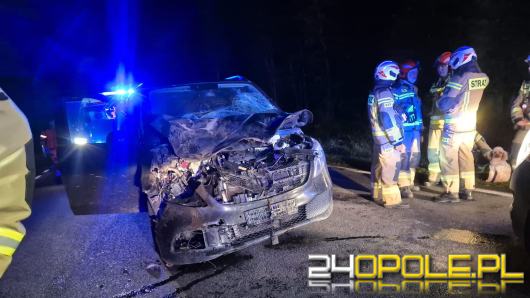 Zderzenie samochodu ze zwierzęciem na drodze wojewódzkiej 426. Jedna osoba trafiła do szpitala