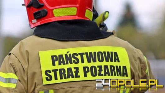 Cuchnąca substancja w szkole w Boguszycach. Ewakuowano ponad 160 osób