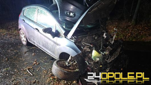 Wypadek w Dąbrówce Łubniańskiej. Kierowca trafił do szpitala