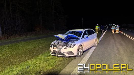 Zderzenie osobówki ze zwierzyną w Bzinicy Starej