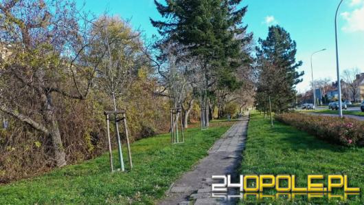 Ruszają kolejne prace przy nowych trasach pieszo-rowerowych w Opolu