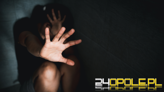 Ponad 880 "Niebieskich Kart" na Opolszczyźnie od początku roku