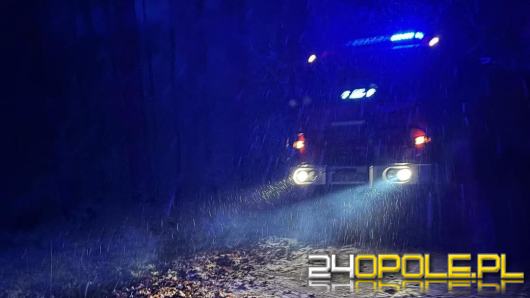 Zimowe utrudnienia na Opolszczyźnie. Strażacy interweniowali ponad 60 razy