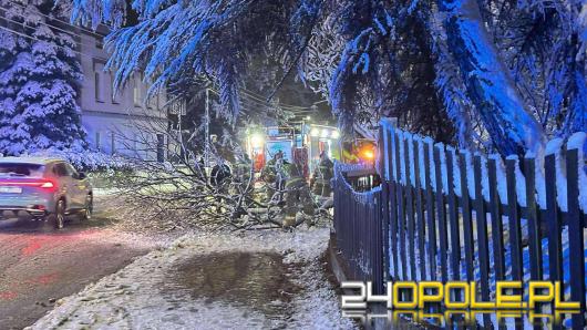 104 interwencje straży po intensywnych opadach śniegu