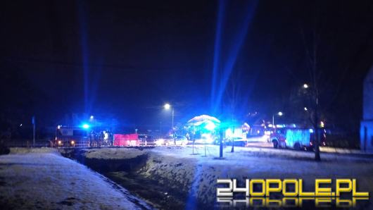 Śmiertelne potrącenie na DK11 w Krzywiźnie. Droga całkowicie zablokowana WIDEO