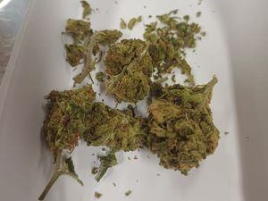 Zatrzymani za posiadanie i udzielanie narkotyków nieletnim