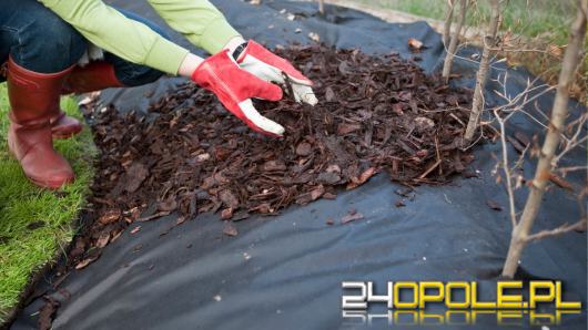 Agrowłóknina czy agrotkanina? Co wybrać przy zakładaniu ogrodu