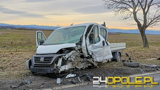 Zderzenie dwóch pojazdów na DK46 pod Nysą. Cztery osoby w szpitalu, w tym dzieci