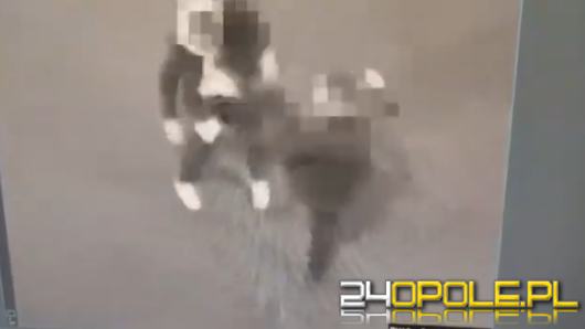 Pobicie o charakterze chuligańskim w Nysie. Dwaj mężczyźni z zarzutami