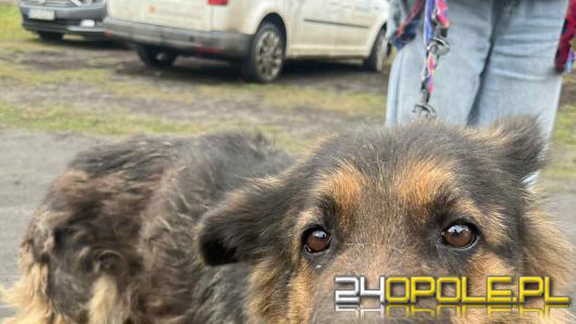 Lala ma 9 lat i pierwszy raz w życiu ma imię