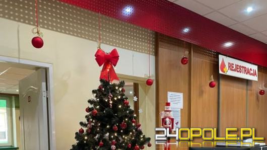 Choinka w podziękowaniu za cenny dar. Świąteczna akcja w opolskim RCKiK