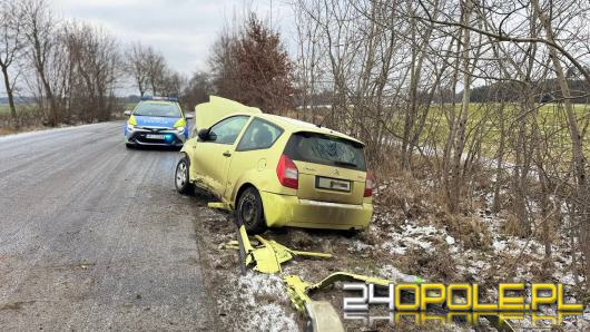 18-latka wpadła w poślizg. Zdarzenie na drodze między Pawłowicami Namysłowskimi a Dalborowicami