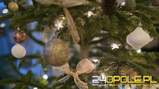 Drodzy Czytelnicy portalu 24opole.pl