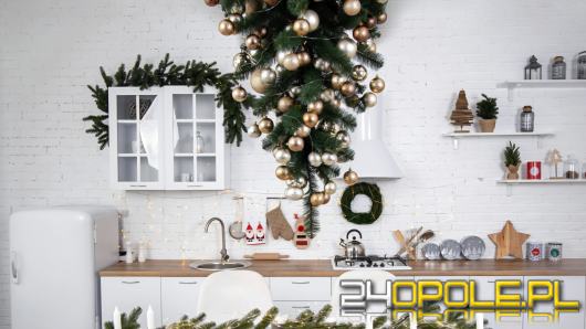 Zanim pojawiła się choinka. Podłaźniczka - zapomniany symbol świąt