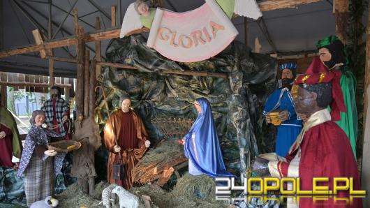 Dziś kolędowanie przy szczepanowickiej szopce. Widzieliście już? 