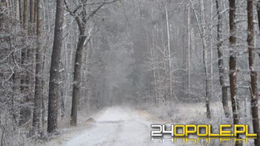 Możliwe śnieżyce? Co mówią prognozy?