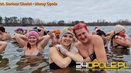 Dlaczego morsy wracają do lodowatej wody? Co tydzień ten sam rytuał, czy to nie nudzi?