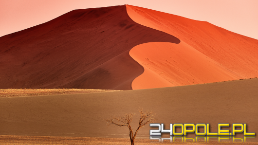 Pomarańczowe wydmy i bezkresne przestrzenie - odkryj Namibię